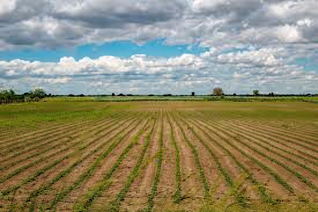 Apna Khet Apna Rozgar Scheme Apply Online